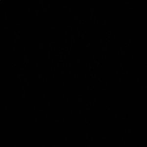 Meet your Posher, Lamont